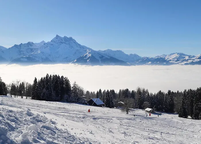 Apartament Le Mont Blanc 2 By Interhome Villars-sur-Ollon