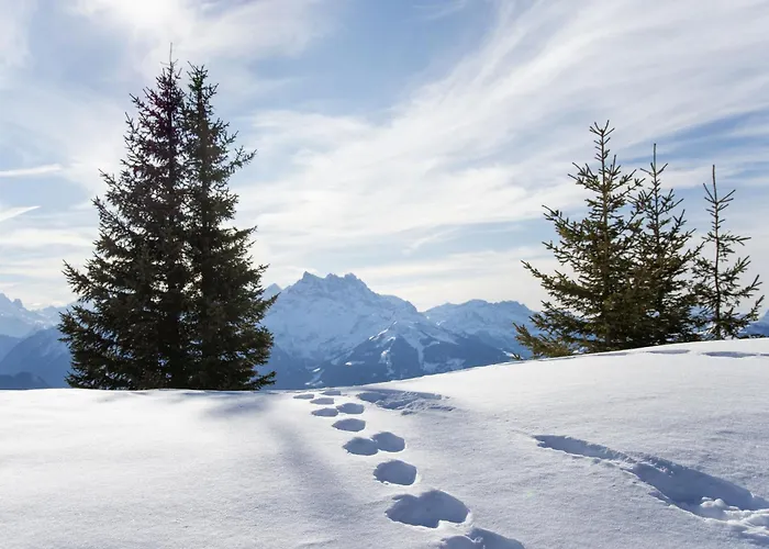 Le Mont Blanc 2 By Interhome Apartament *